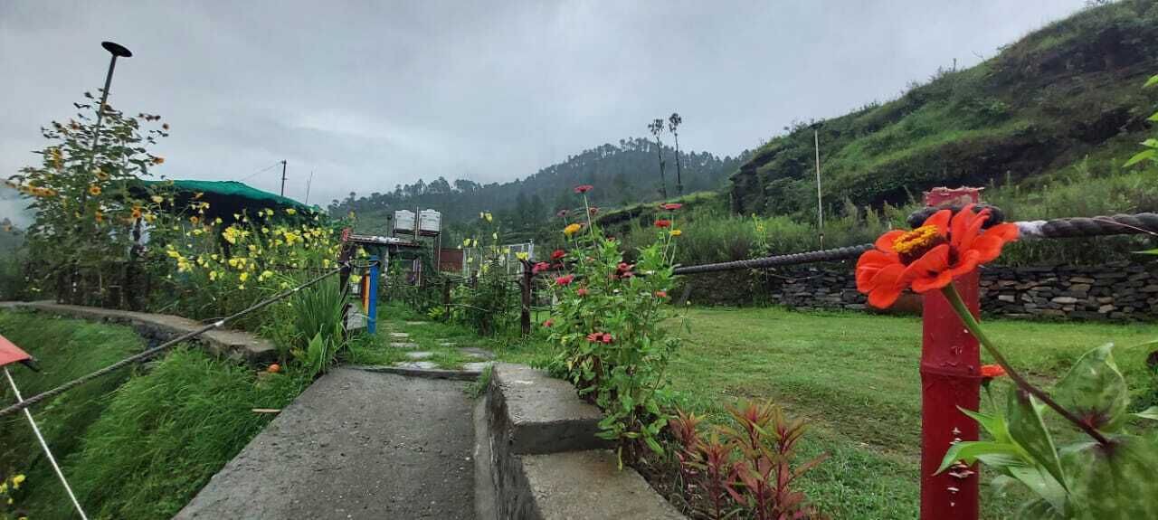 Photo of Others in Almora