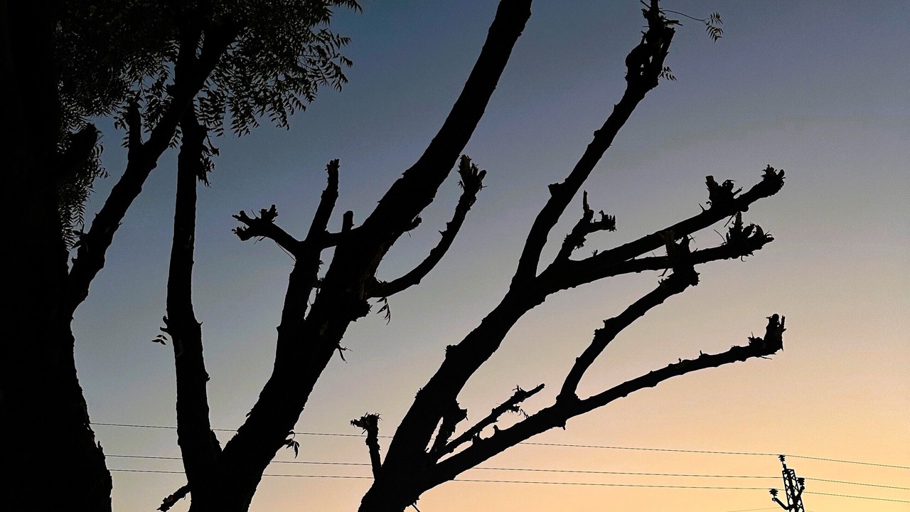 Photo of Outdoor in Banar