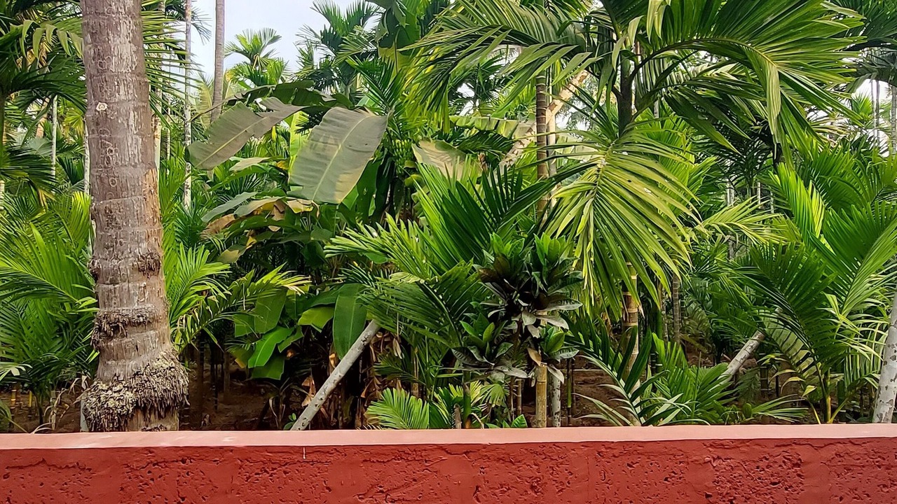 Photo of Outdoor in Diveagar