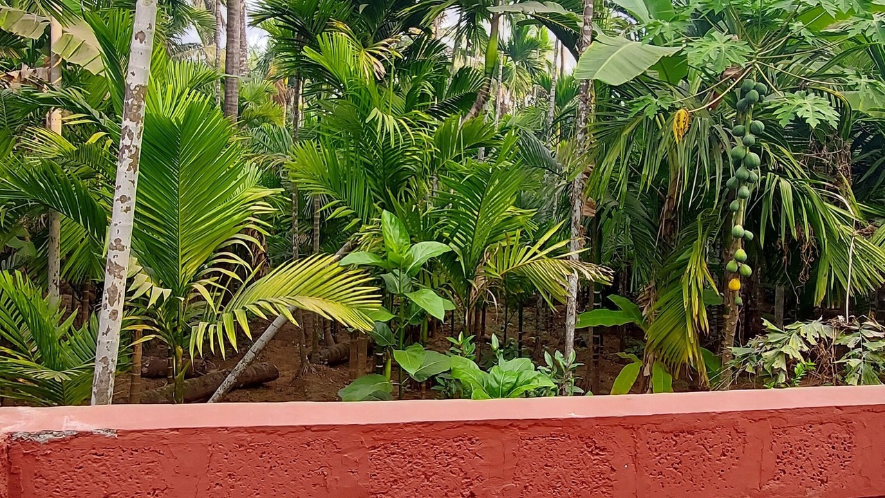 Photo of Outdoor in Diveagar