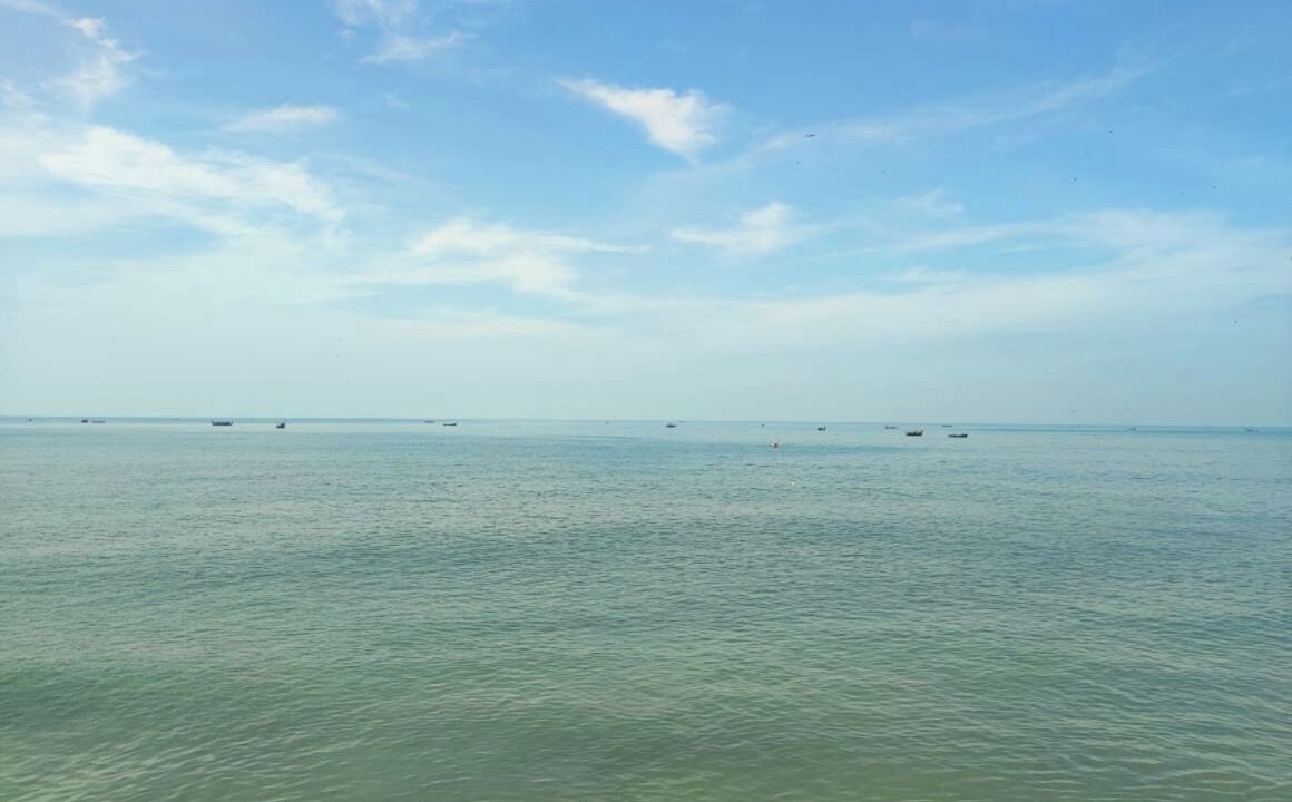 Photo of Others in Kochi