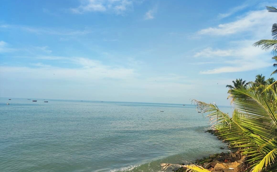 Photo of Others in Kochi