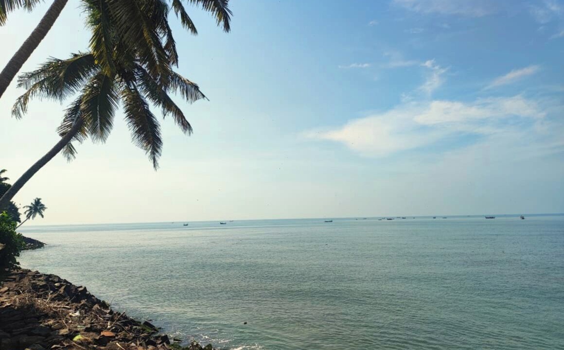 Photo of Others in Kochi