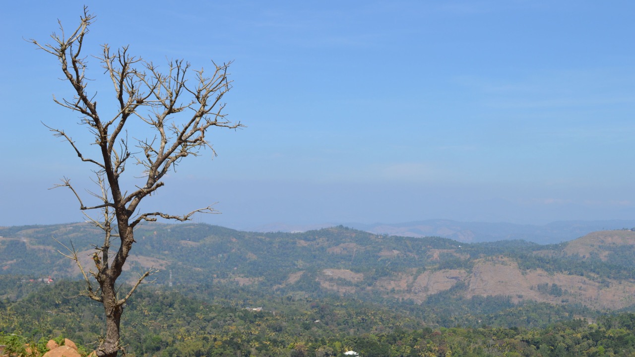 Photo of Outdoor in Udumbanchola