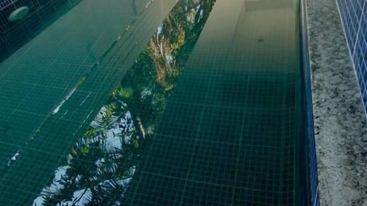 Photo of Outdoor in Parra