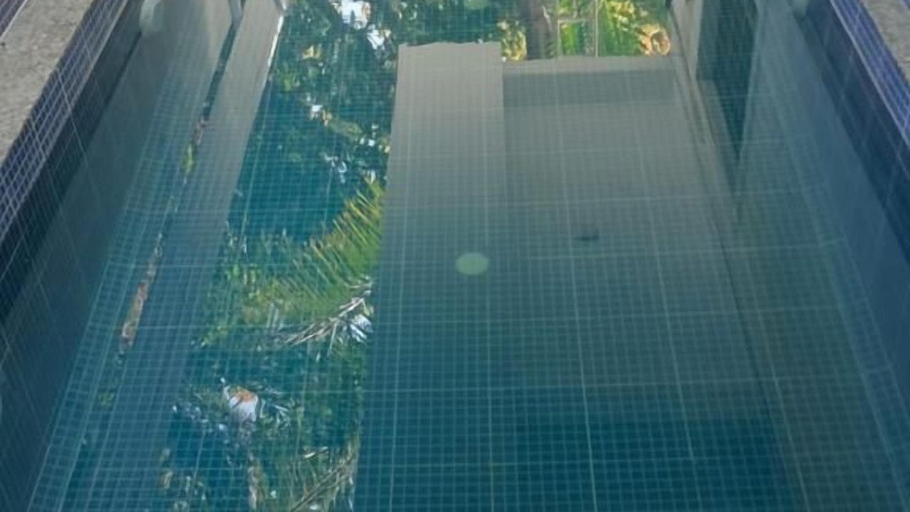 Photo of Outdoor in Parra