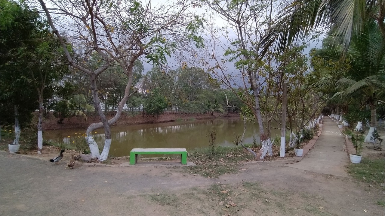 Photo of Outdoor in Kendrapara