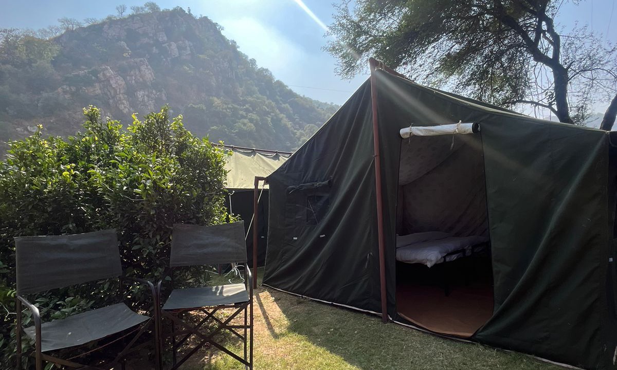 Photo of Others in Sariska
