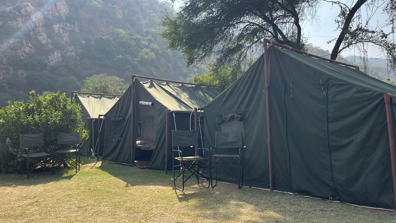 Photo of Others in Sariska