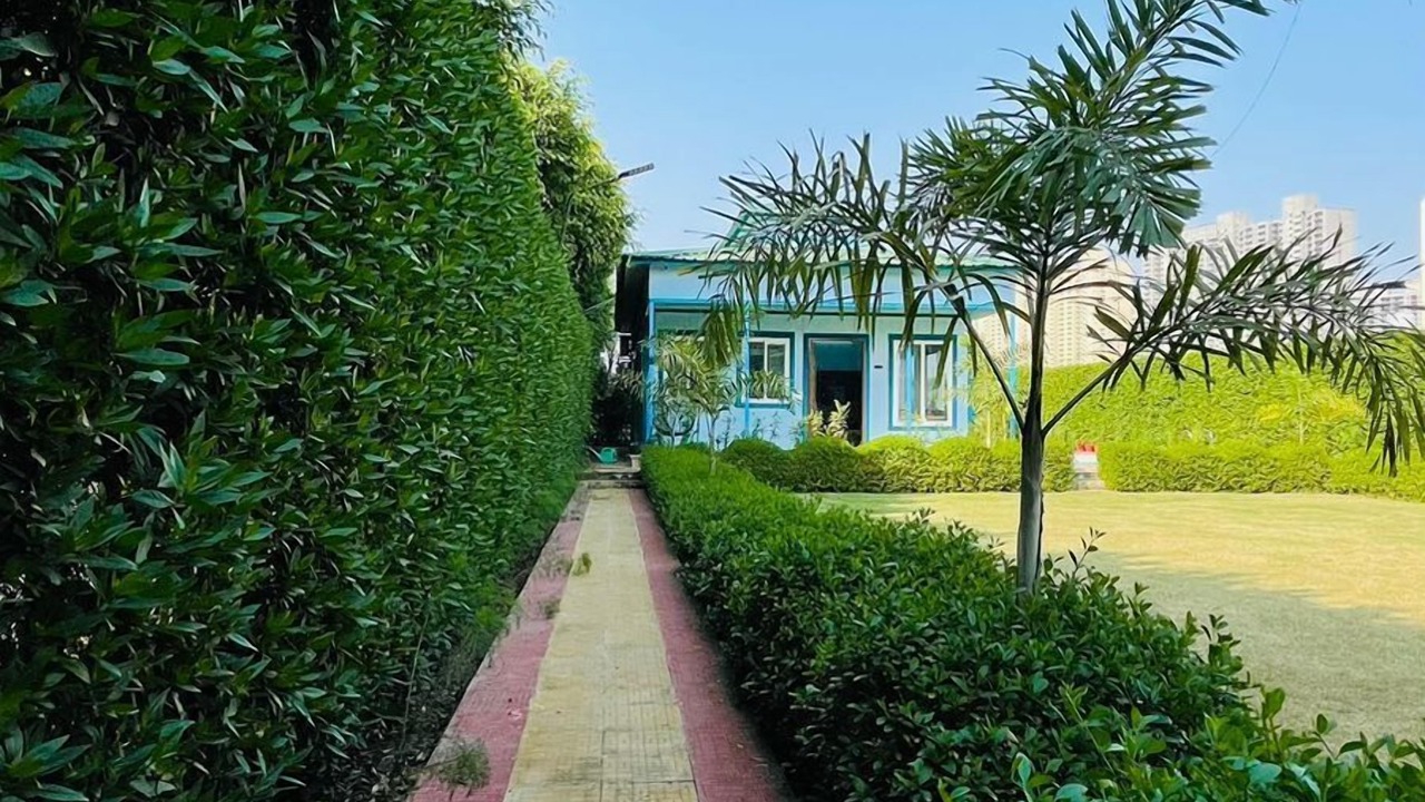 Photo of Outdoor in Noida