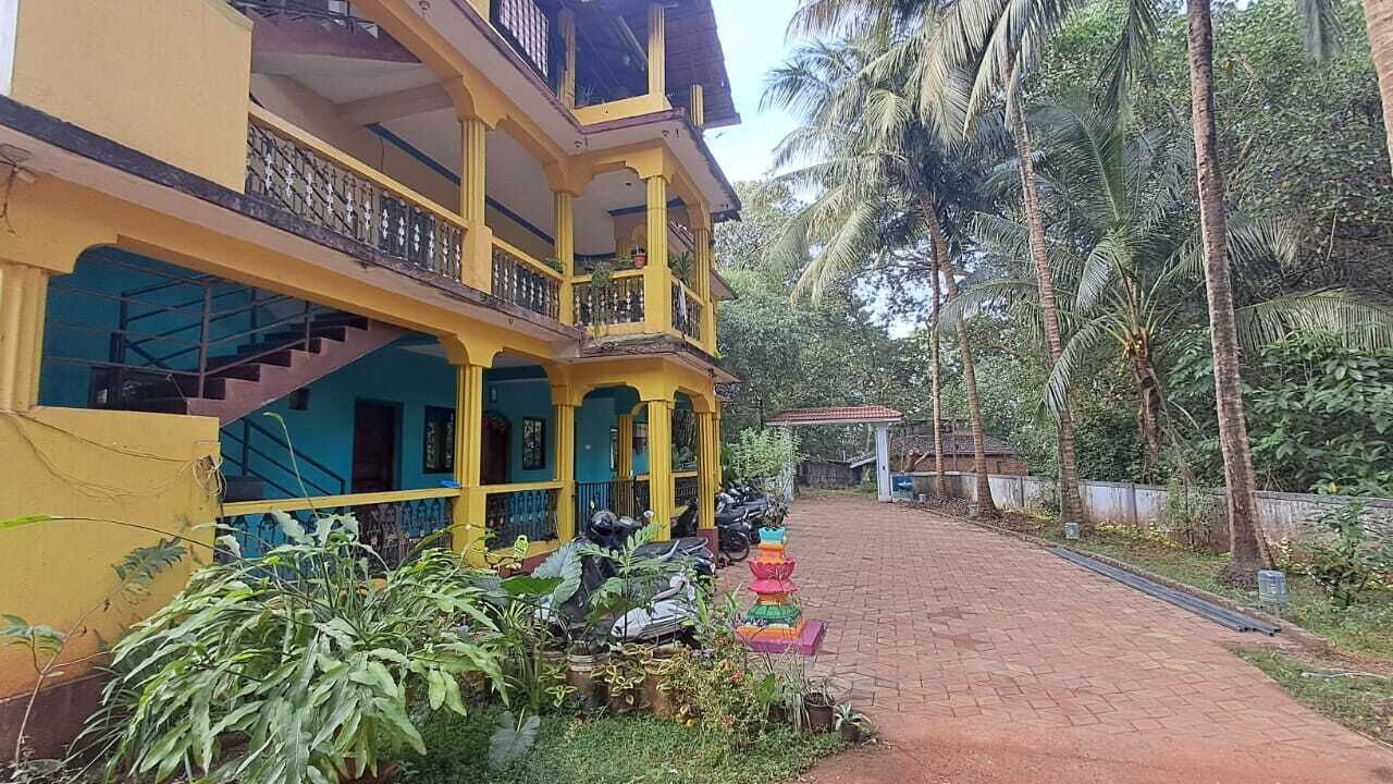 Photo of Outdoor in Arambol