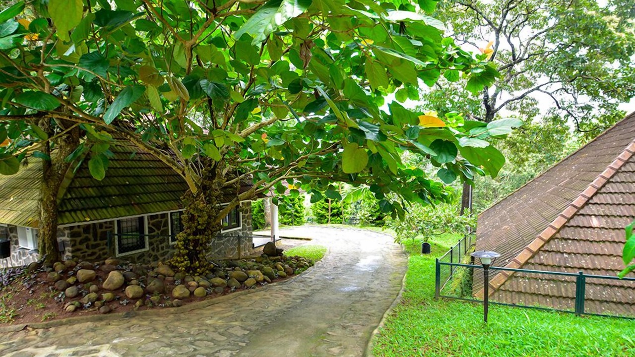 Photo of Outdoor in Kumily