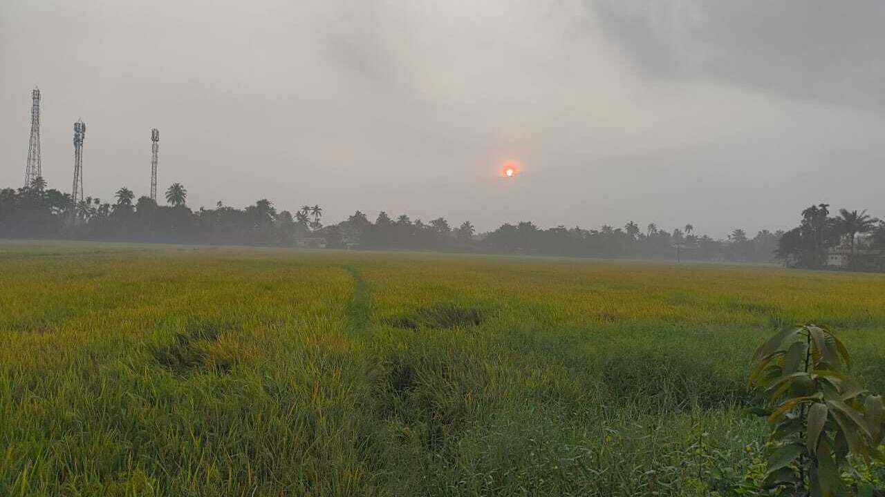 Photo of Others in Alappuzha
