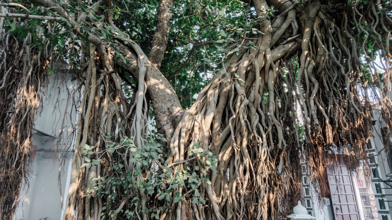 Photo of Outdoor in Lake Swaroop Sagar