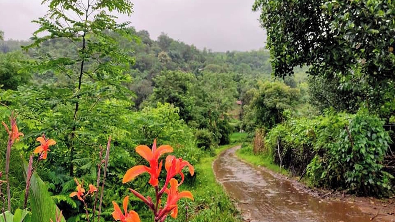 Photo of Outdoor in Ambavna