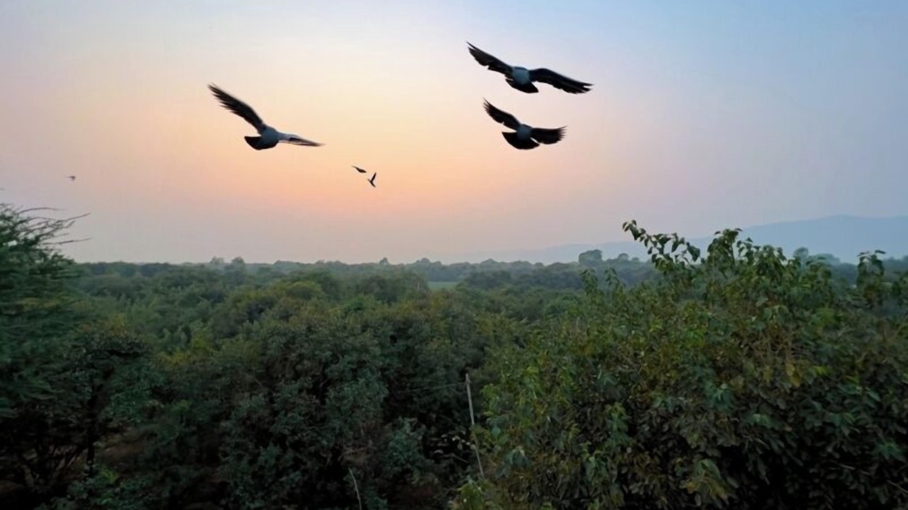Photo of Outdoor in Village Hokra