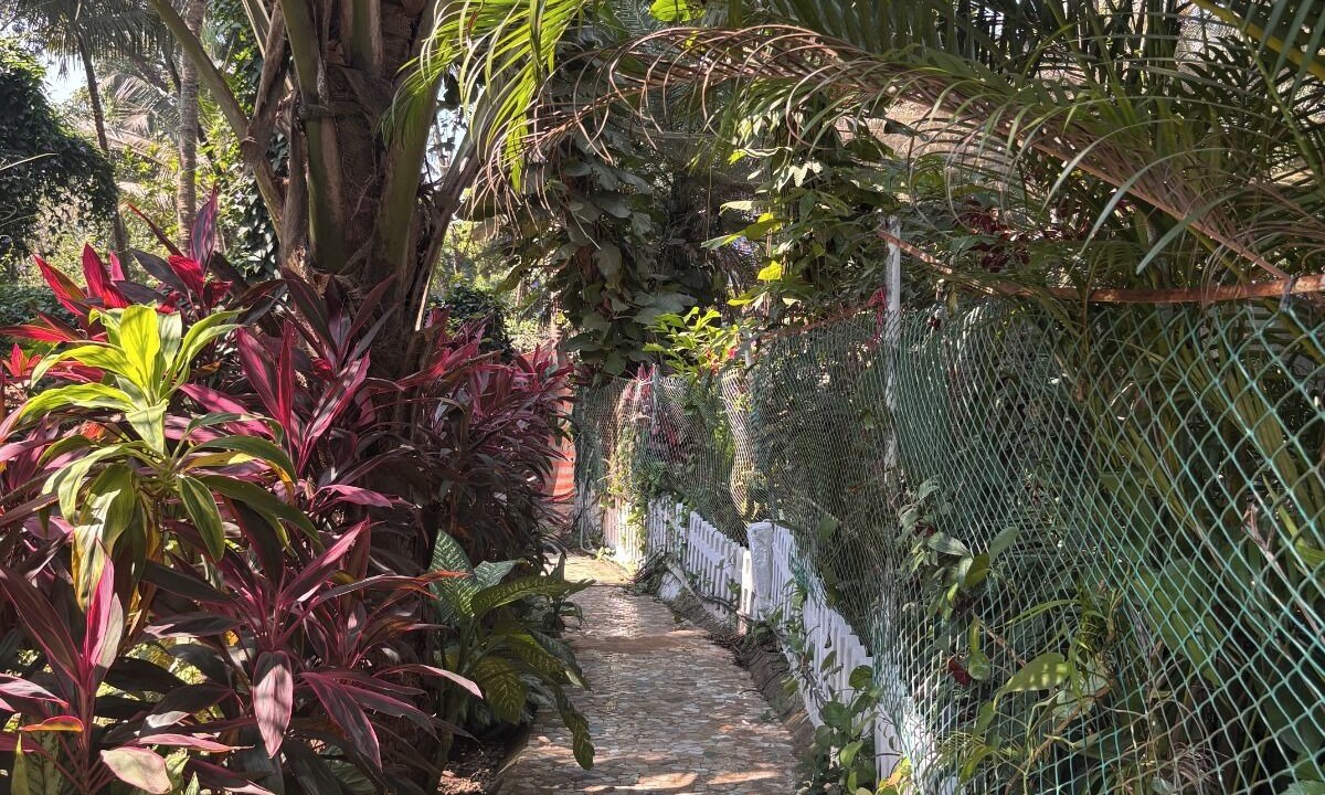 Photo of Outdoor in Majorda