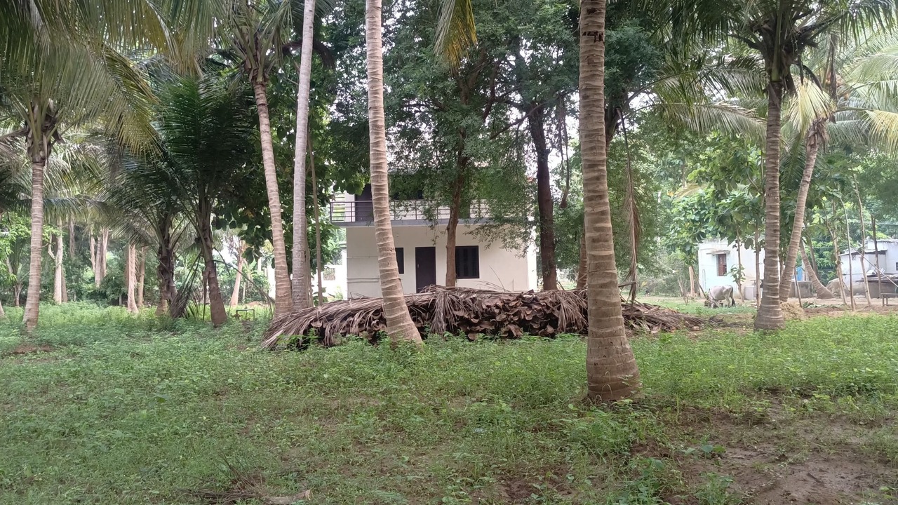 Photo of Outdoor in Papasanam
