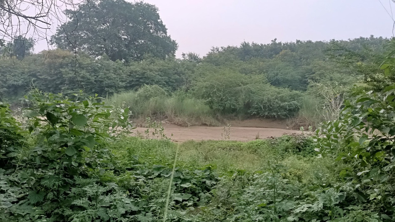 Photo of Others in Papasanam