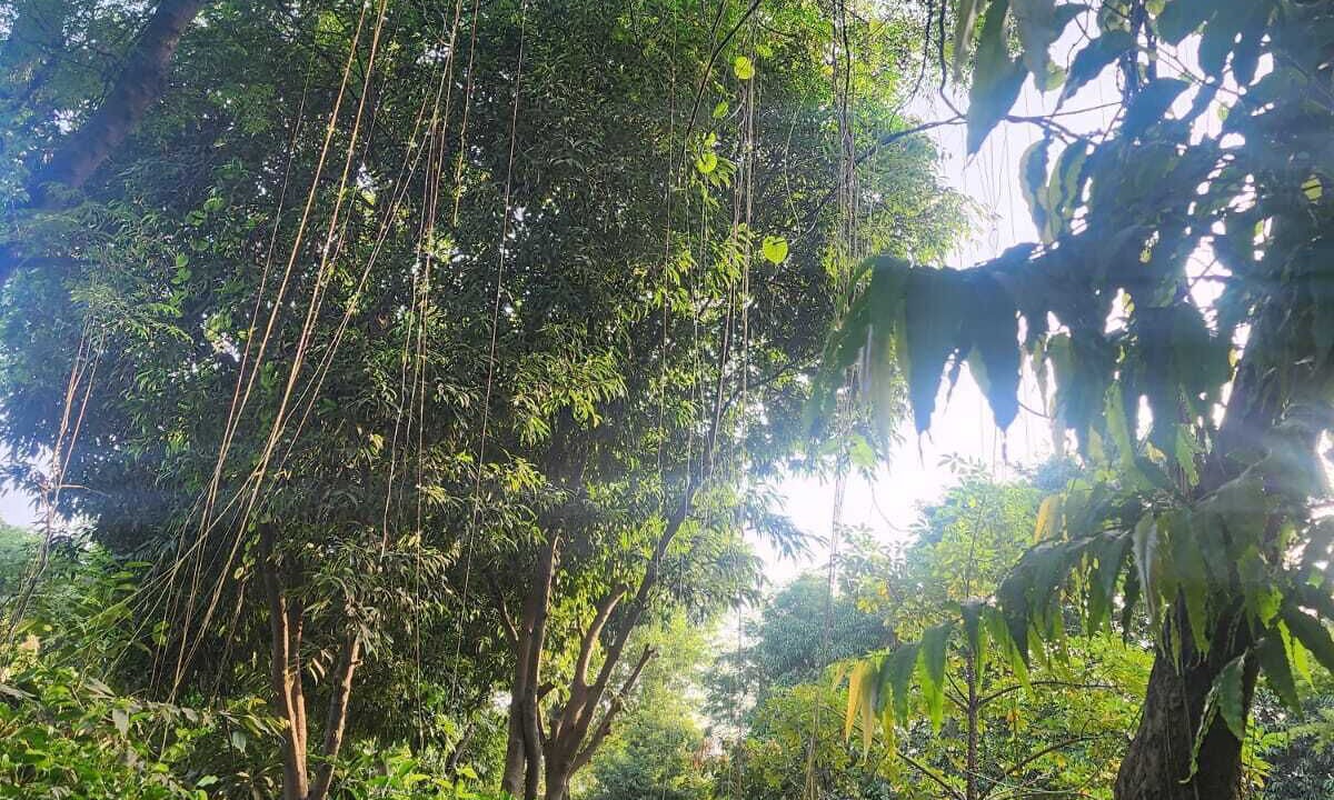 Photo of Outdoor in Bhiwadi