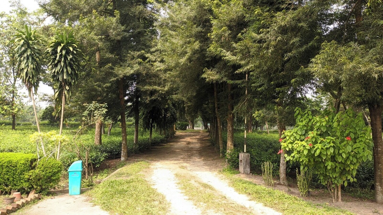 Photo of Outdoor in Jalpaiguri