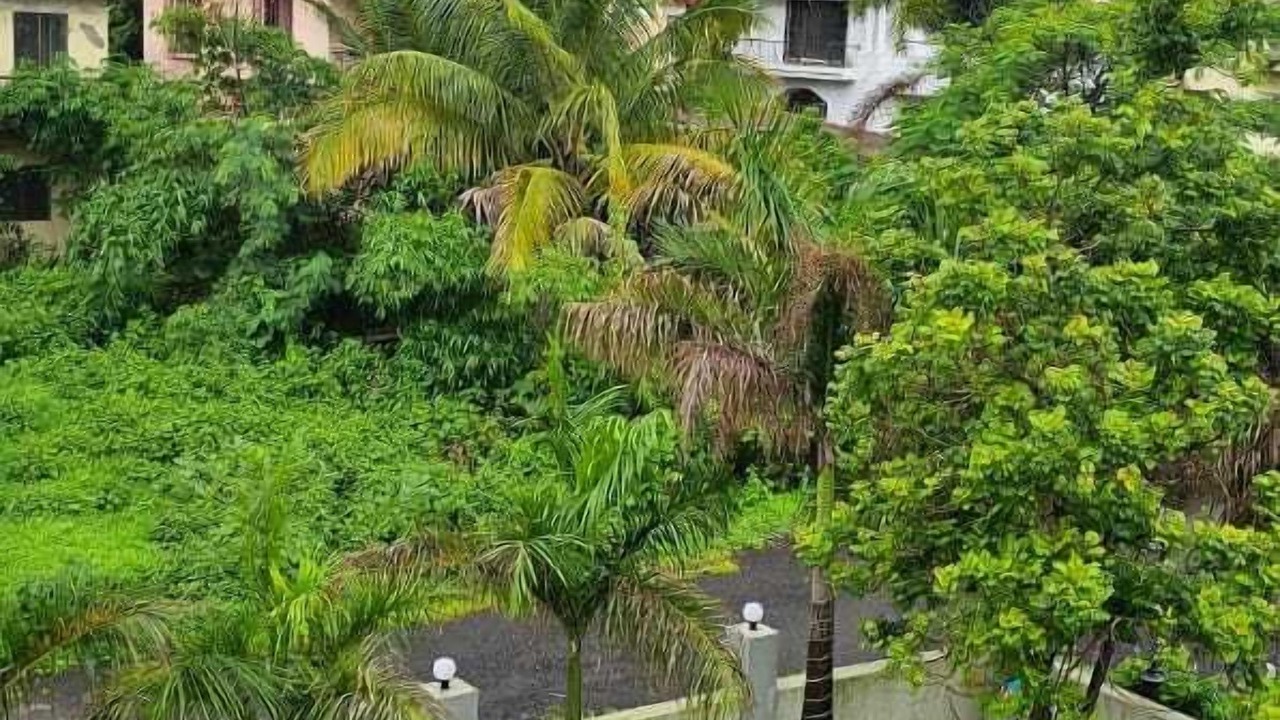 Photo of Outdoor in Khalapur