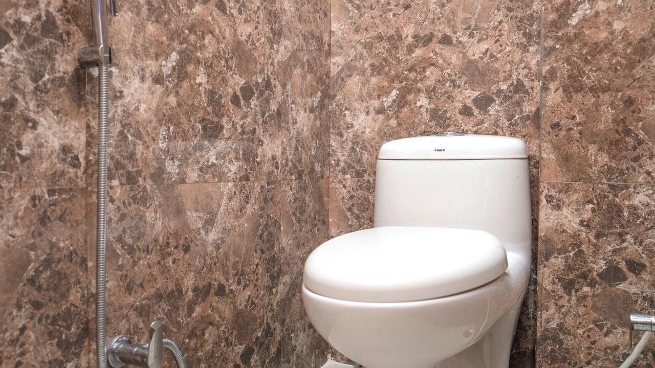 Photo of Bathroom in Lake Swaroop Sagar