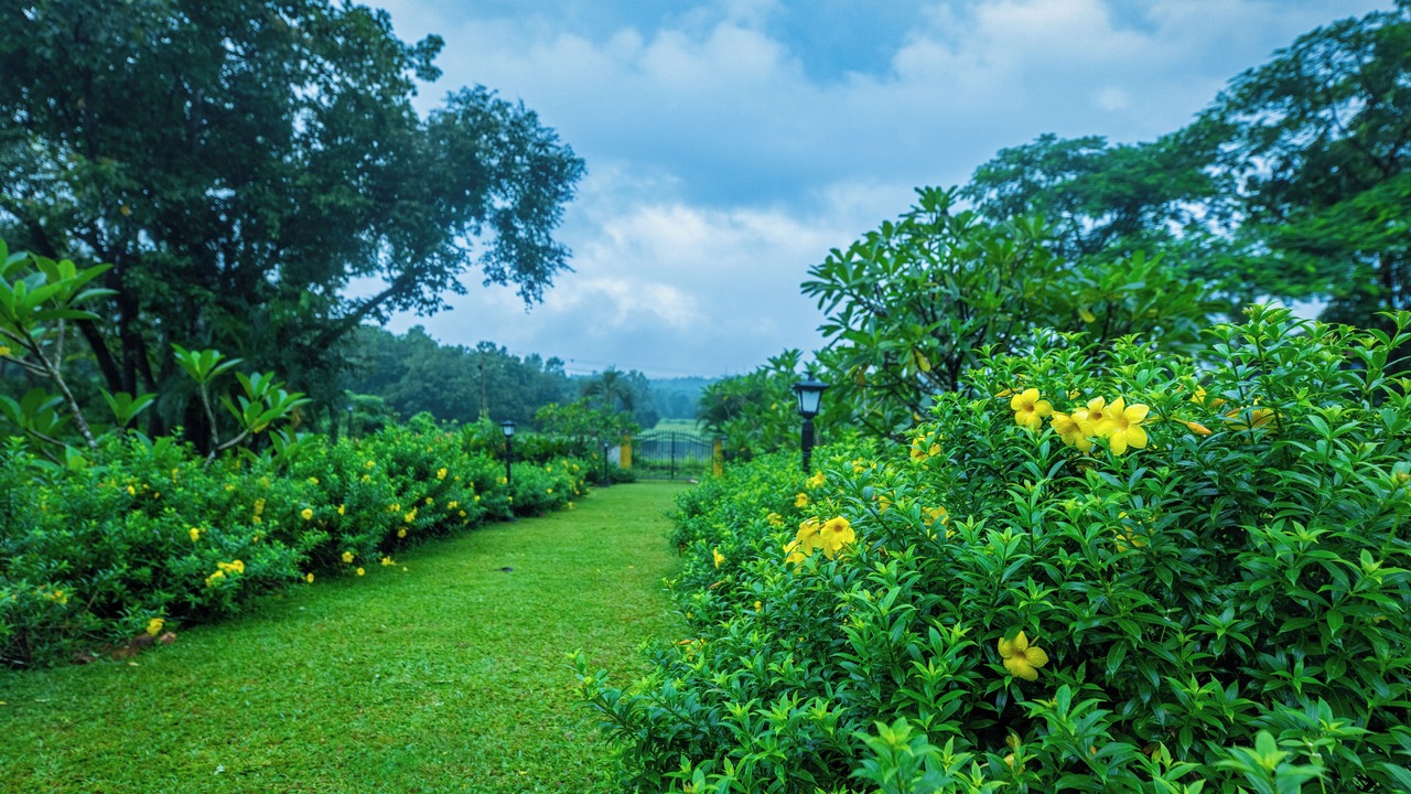 Photo of Outdoor in Curtorim