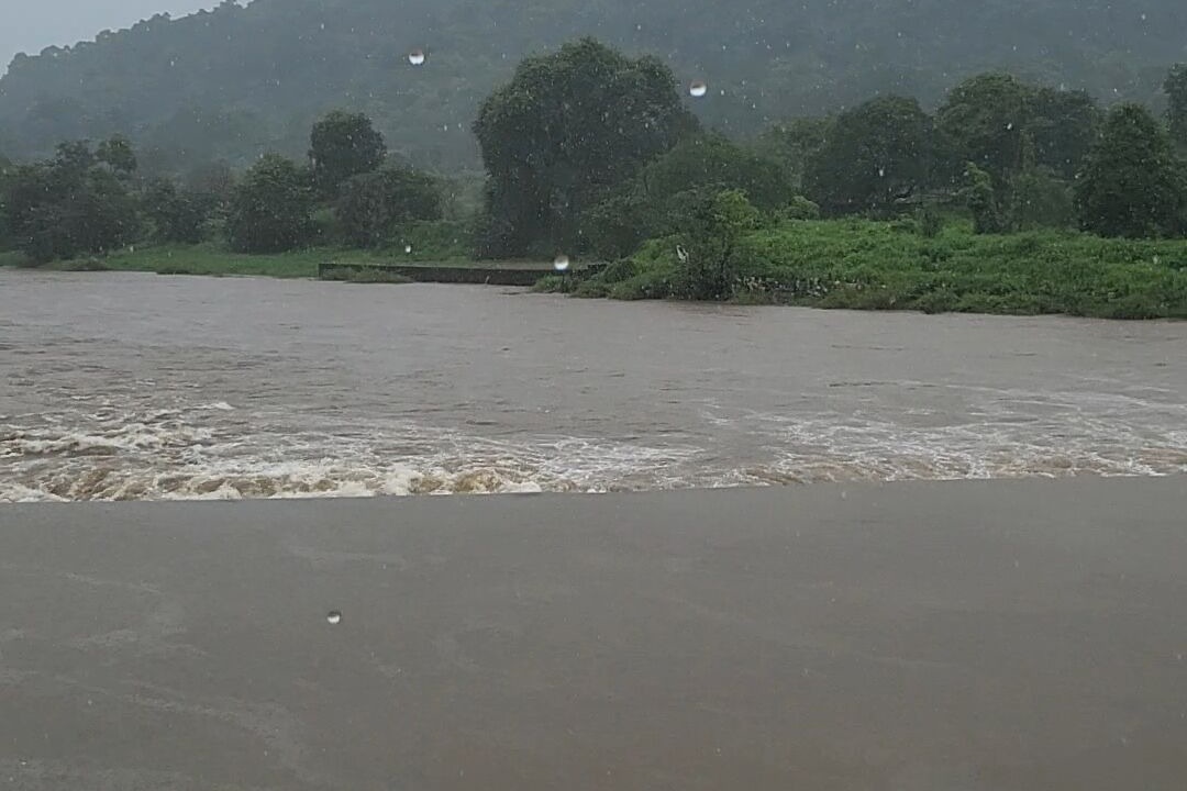 Photo of Others in New Panvel East