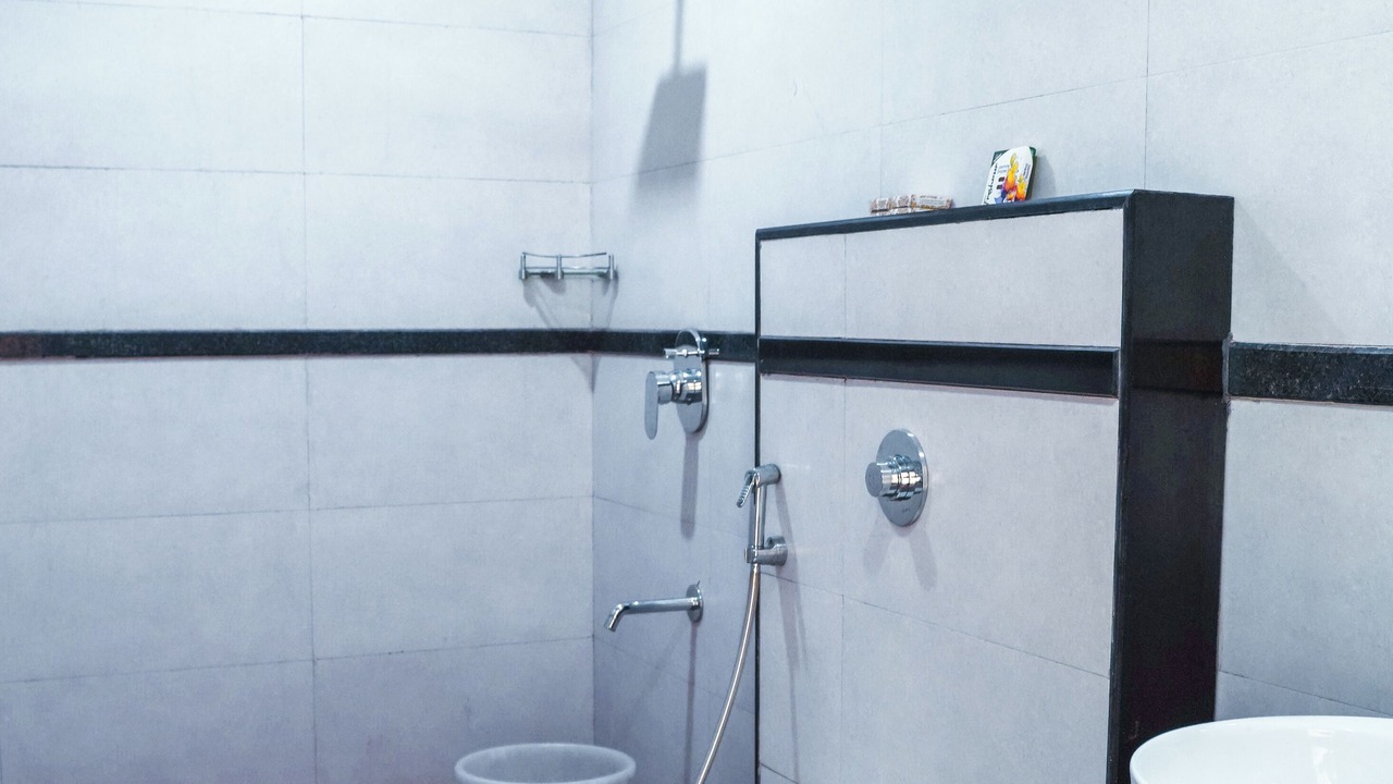 Photo of Bathroom in Lake Swaroop Sagar