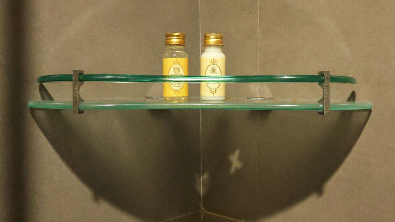 Photo of Bathroom in Amer Fort Road