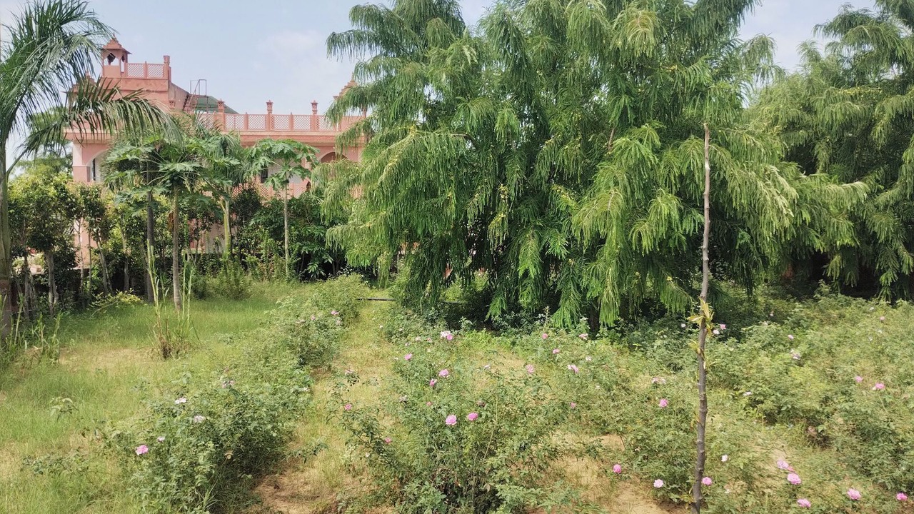 Photo of Outdoor in Village Hokra