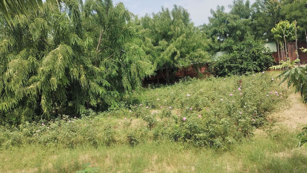 Photo of Outdoor in Village Hokra