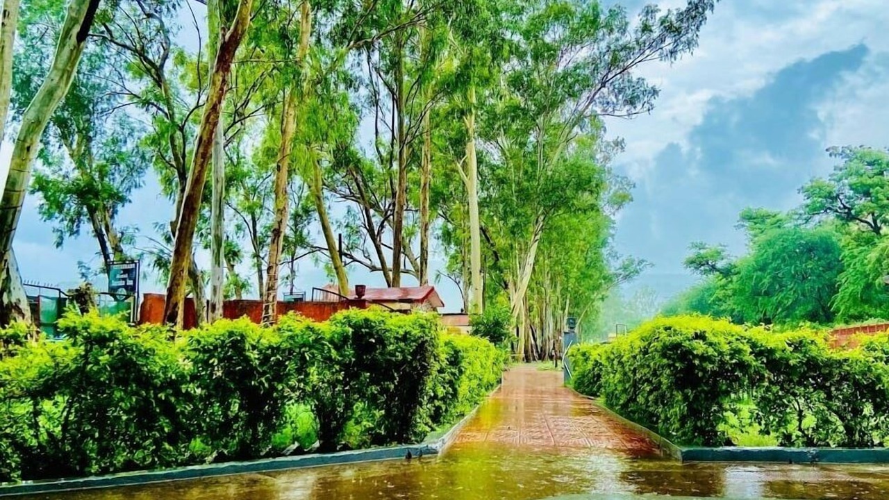 Photo of Outdoor in Sariska