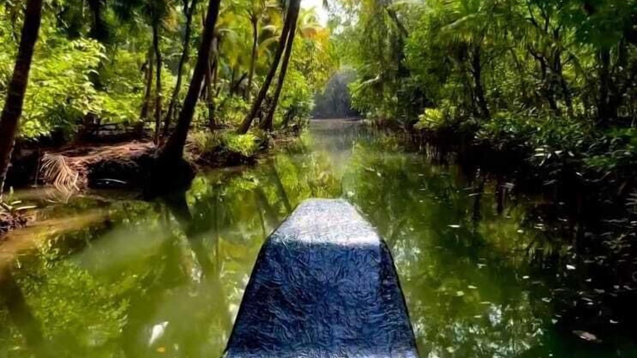 Photo of Outdoor in Honavar