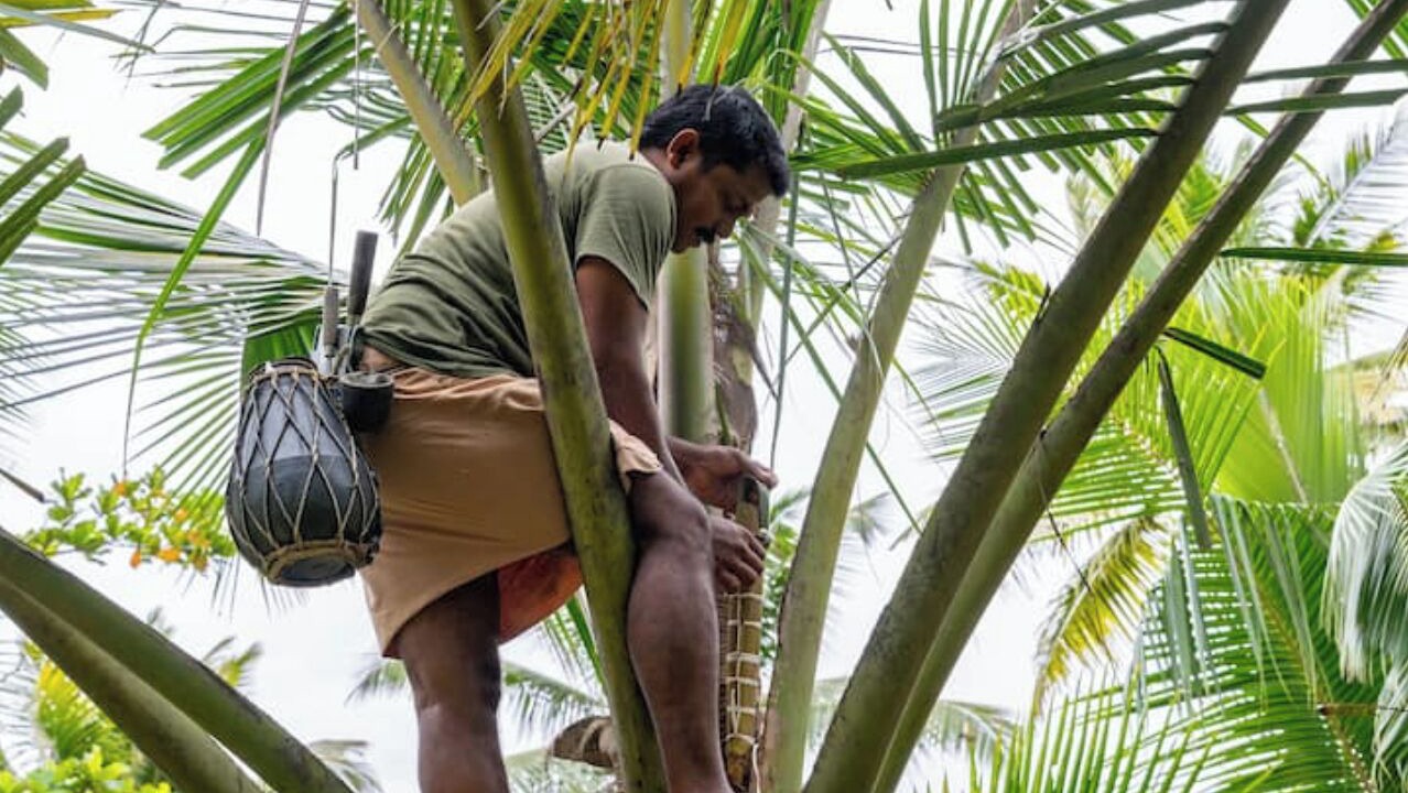 Photo of Outdoor in Vaikom