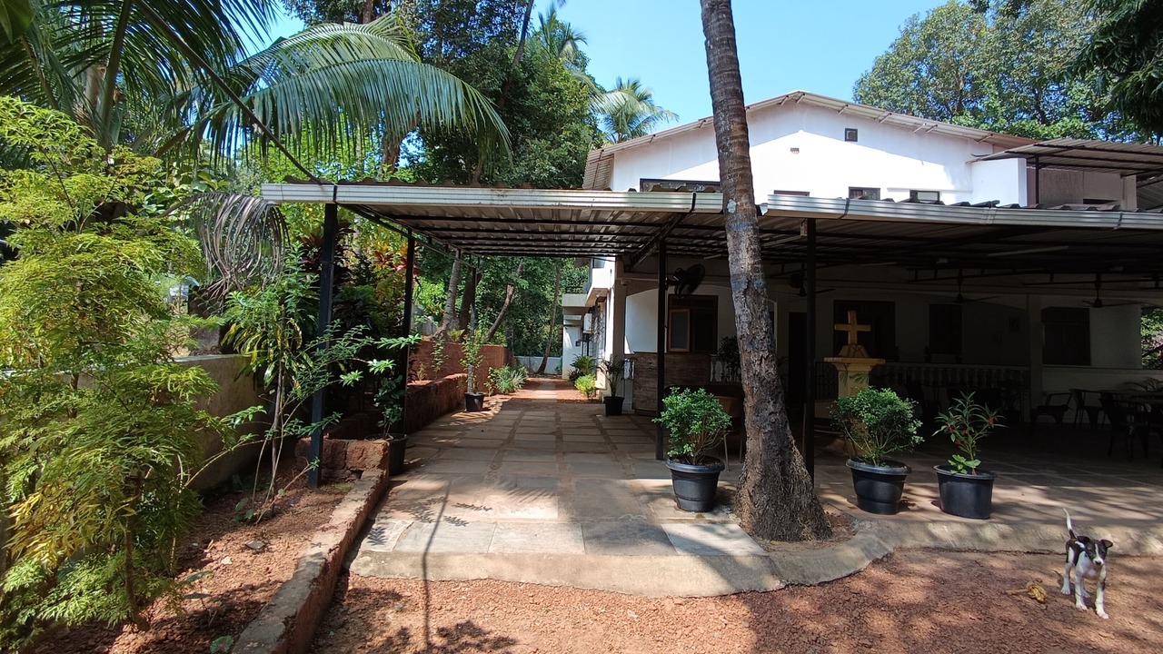 Photo of Outdoor in Baga