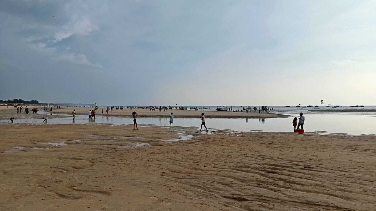 Photo of Others in Baga