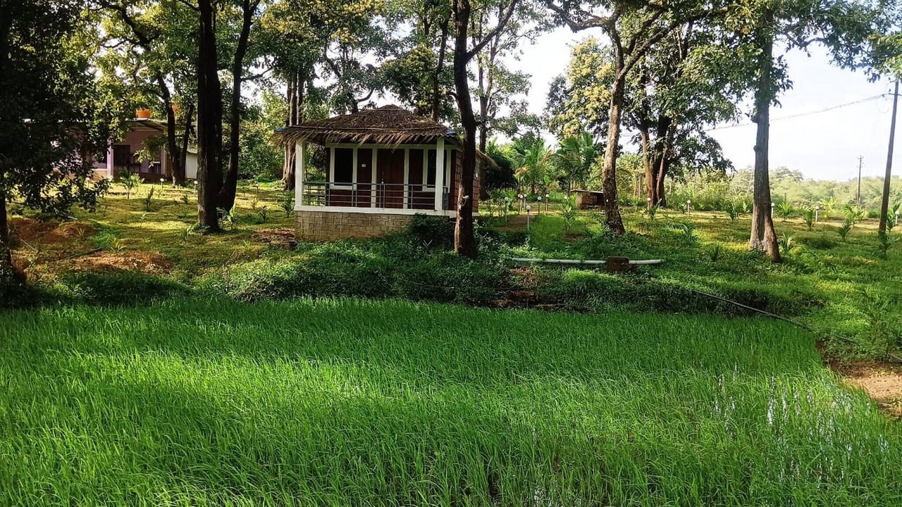 Photo of Outdoor in Timbholi