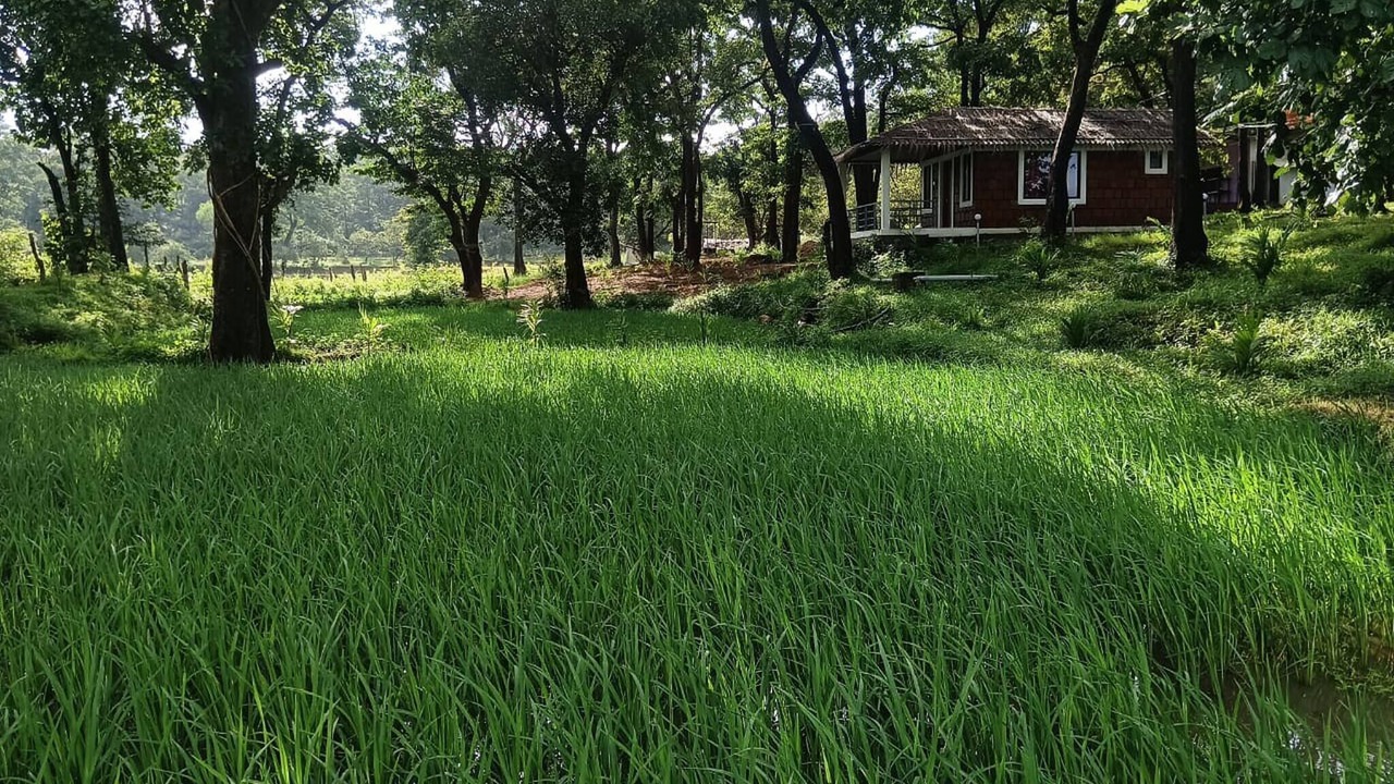 Photo of Outdoor in Timbholi