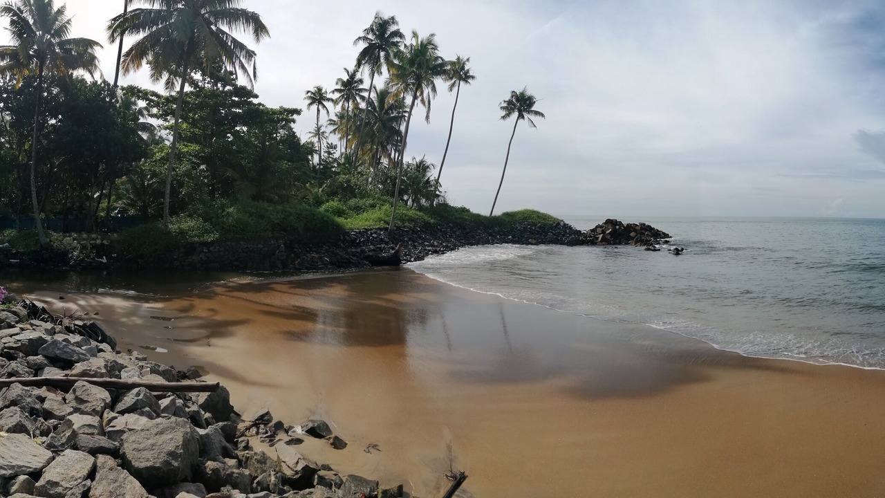 Photo of Others in Kodungallur