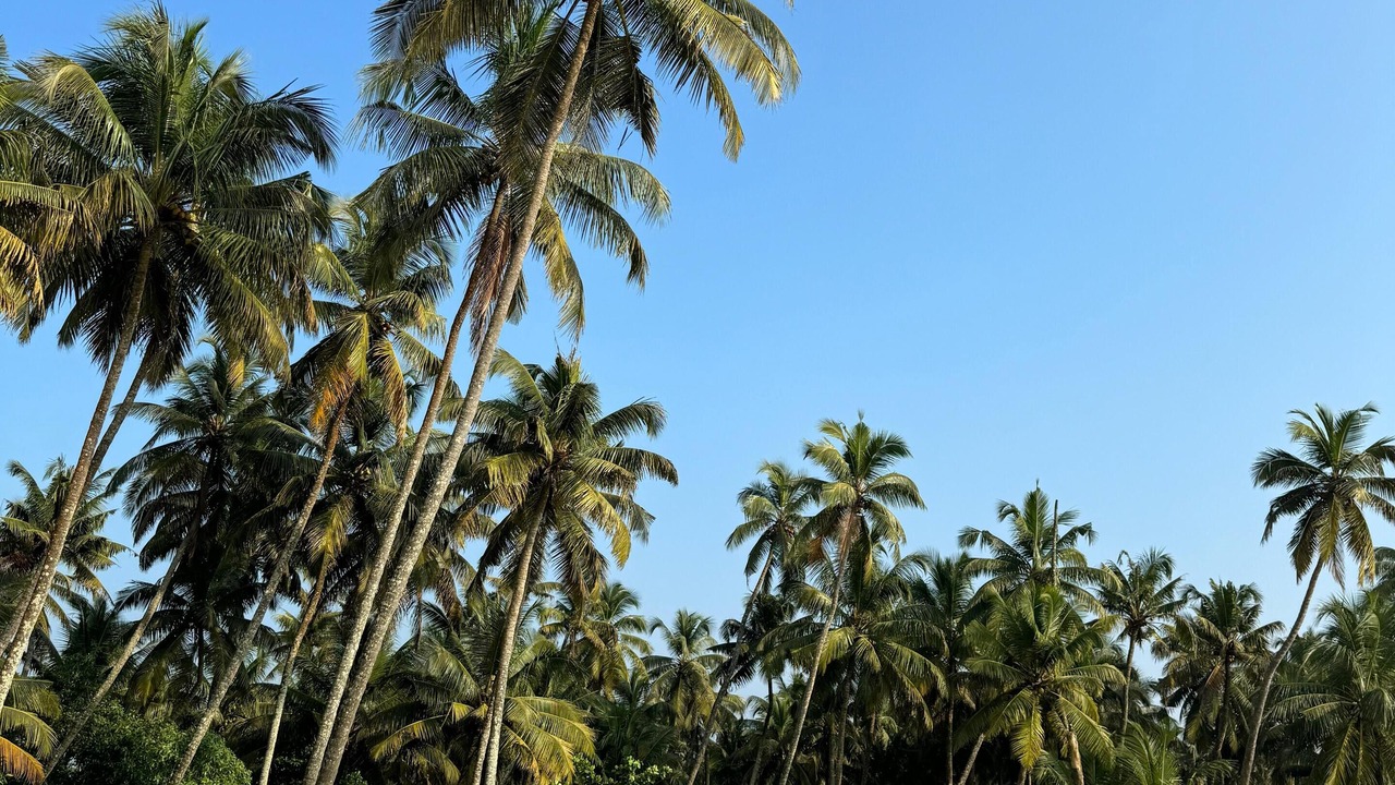 Photo of Others in Kodungallur