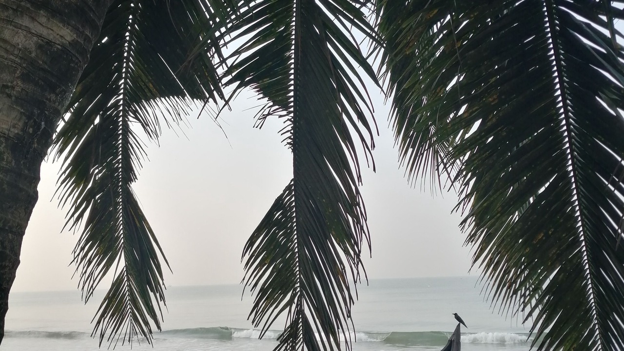 Photo of Others in Kodungallur