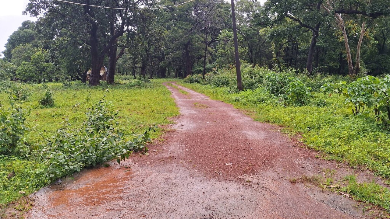 Photo of Outdoor in Timbholi