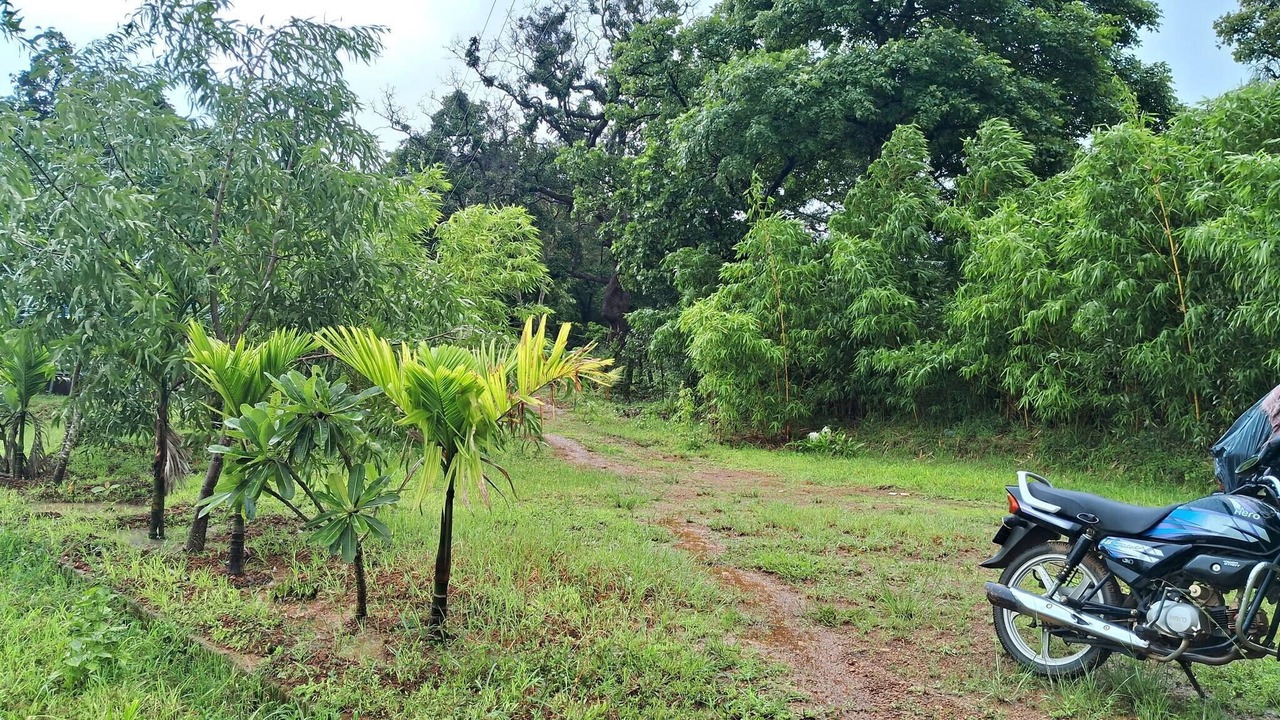 Photo of Bedroom in Timbholi