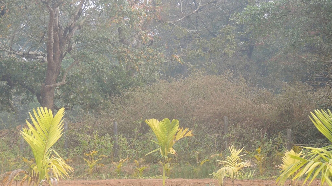 Photo of Bedroom in Timbholi
