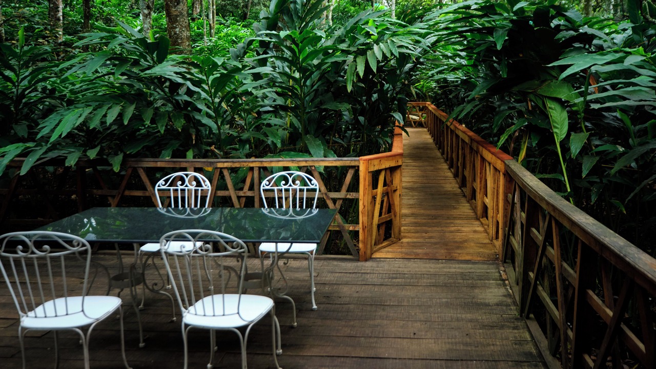 Photo of Outdoor in Elappara