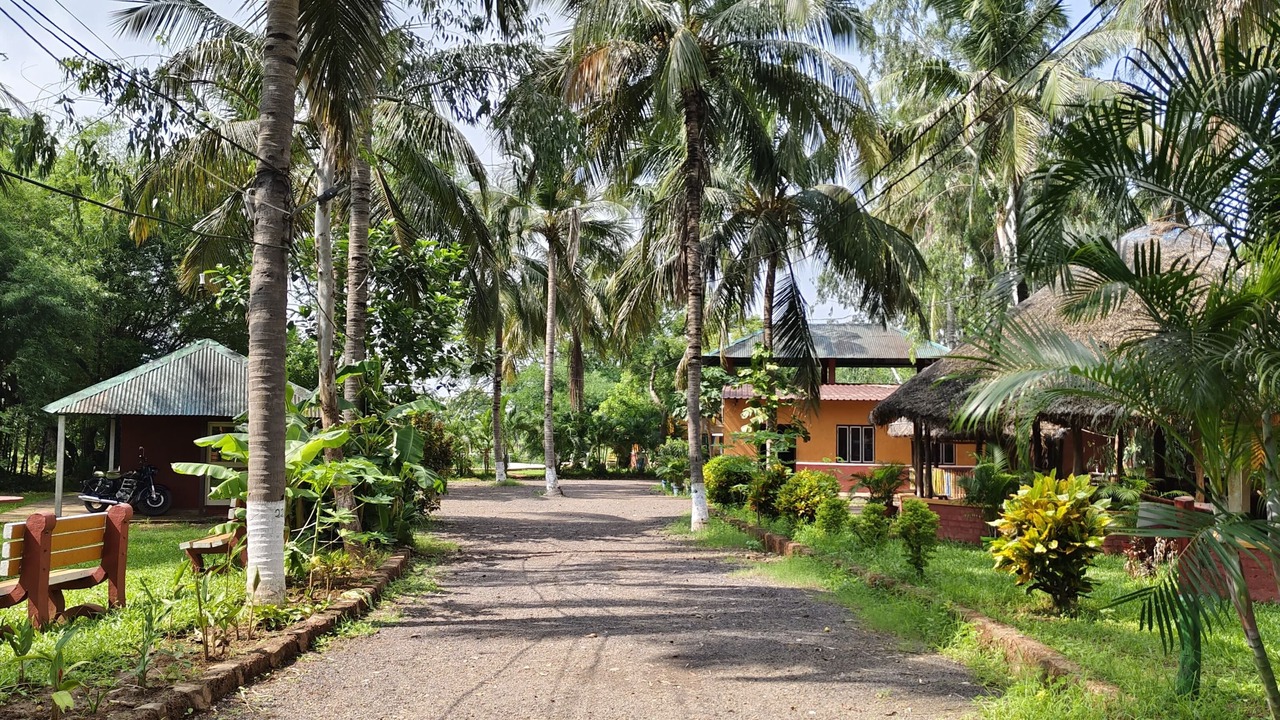 Photo of Outdoor in Cuttack