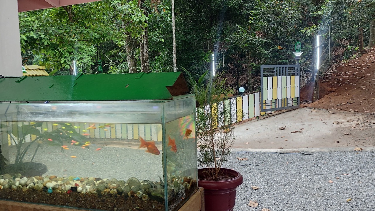 Photo of Outdoor in Devikolam