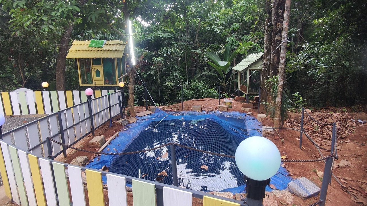 Photo of Outdoor in Devikolam